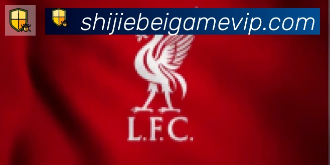 FIFA世界杯买球入口合作伙伴